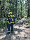 Helfer stehen im Wald in einer Reihe, um die Suche zu starten